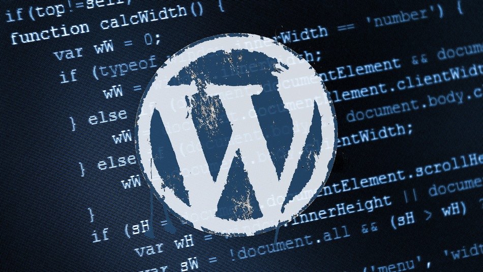 wordpress_inceleme