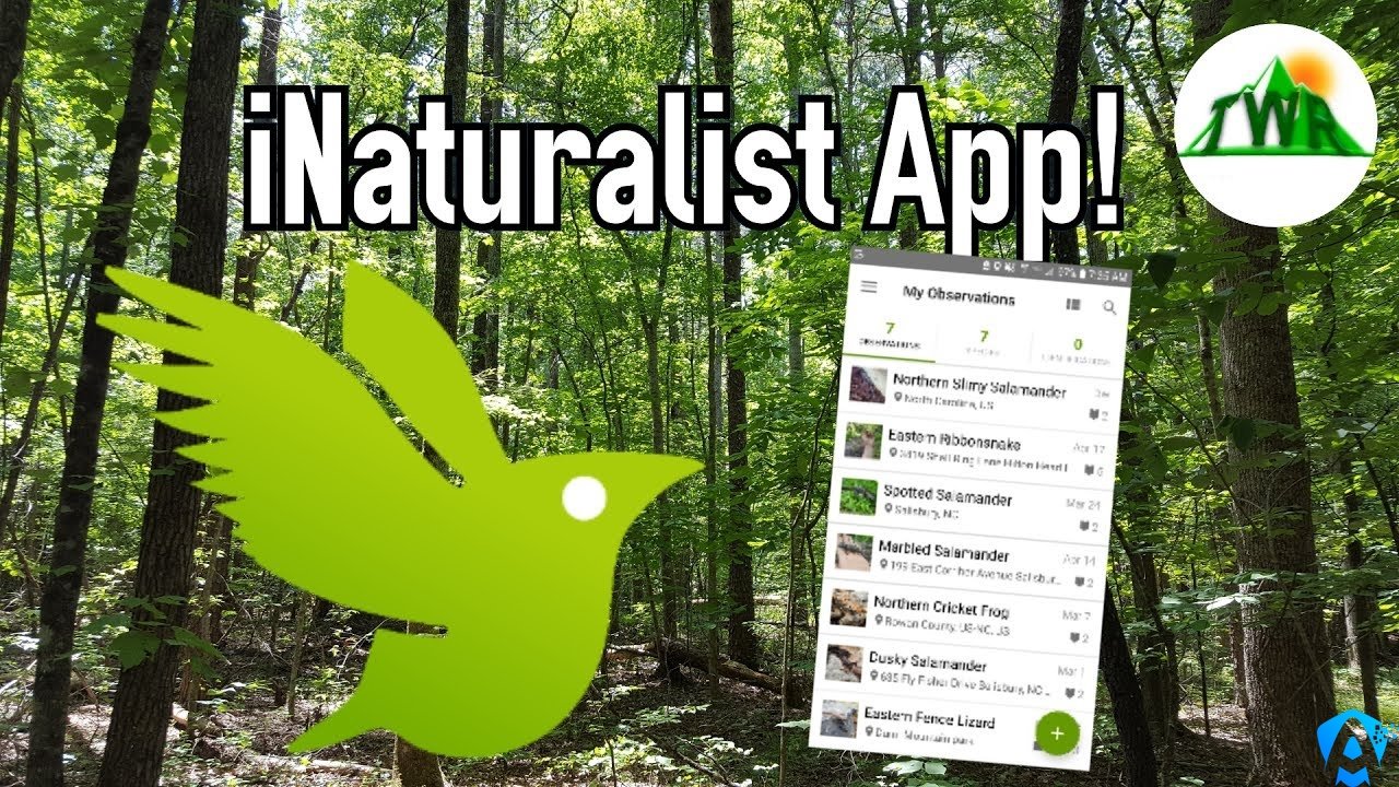 iNaturalist Uygulaması