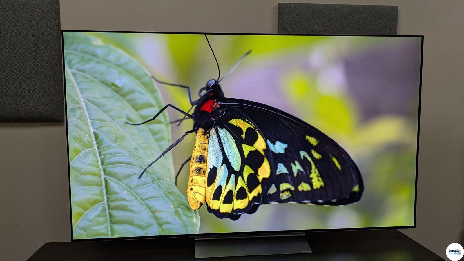 LG C6 OLED televizyon ekran görüntüsü