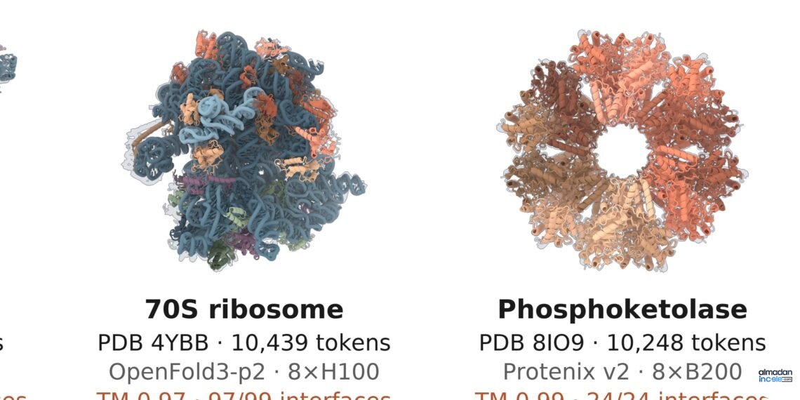 Protein yapıları ve hesaplama akışını gösteren Claude biyomoleküler modelleme görseli