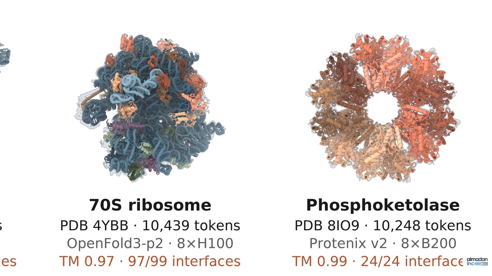 Protein yapıları ve hesaplama akışını gösteren Claude biyomoleküler modelleme görseli