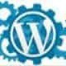 Wordpress Blog Teması